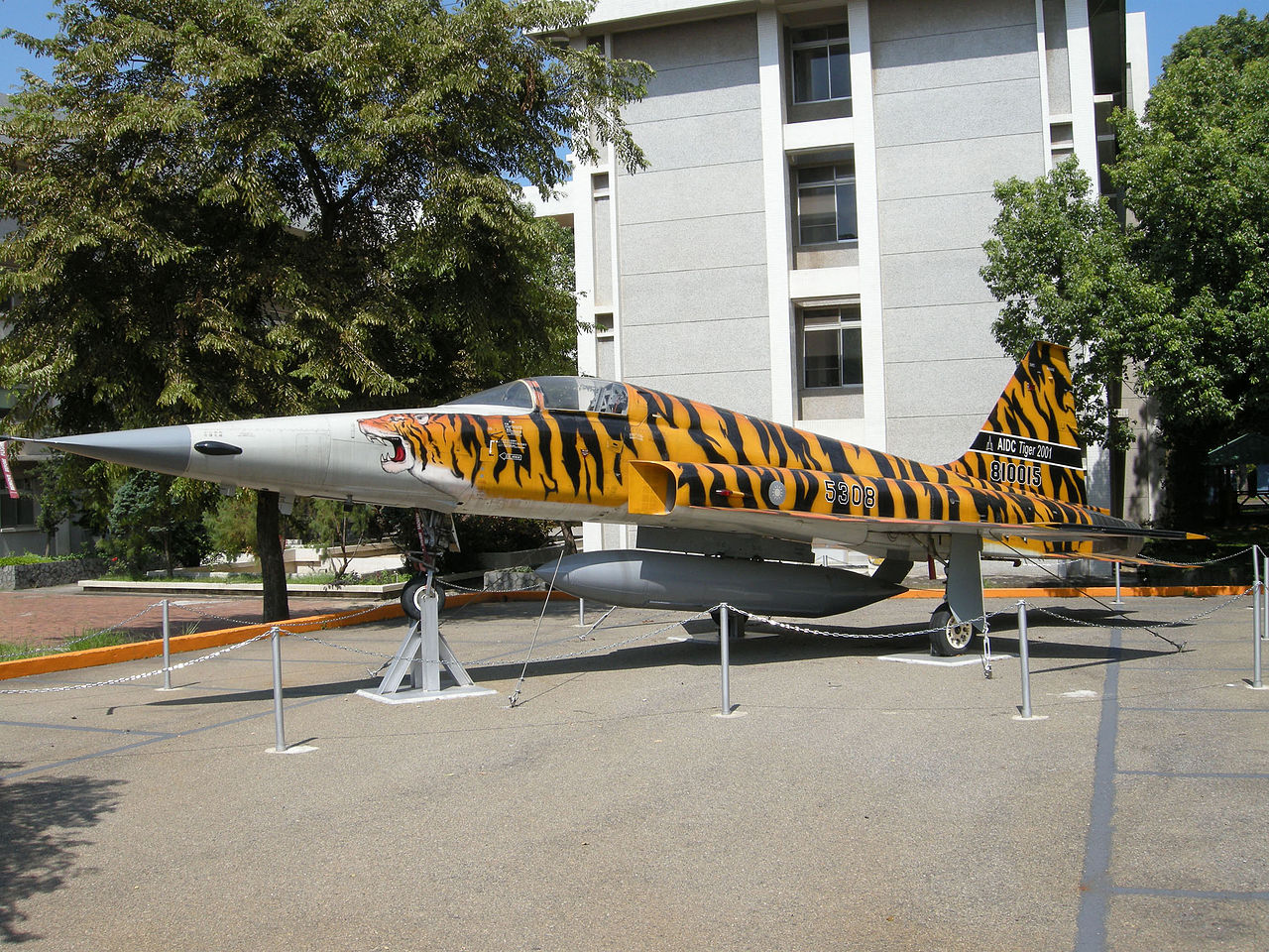 F-5 Tiger 2000