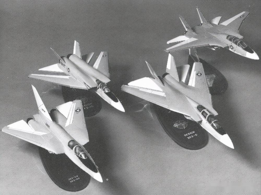 альтернативні проєкти F-14 Grumman - Model 303