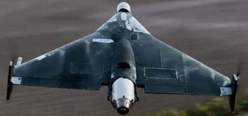 Герань-4