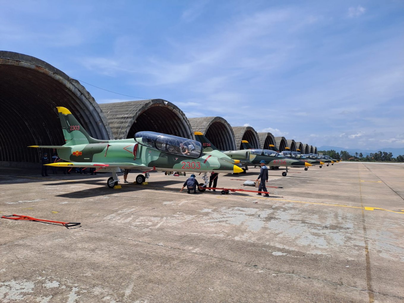 Навчально-бойові літаки L-39NG ВПС В'єтнаму
