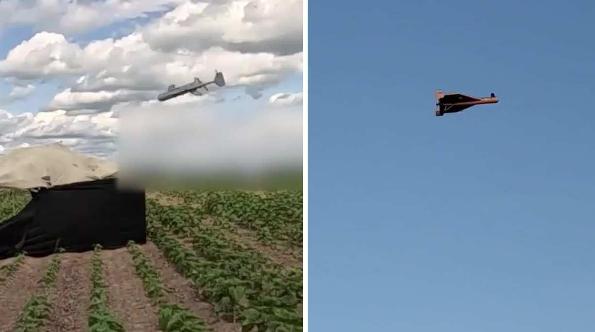 Artemis ALM-20 Auterion український шахед з ШІ