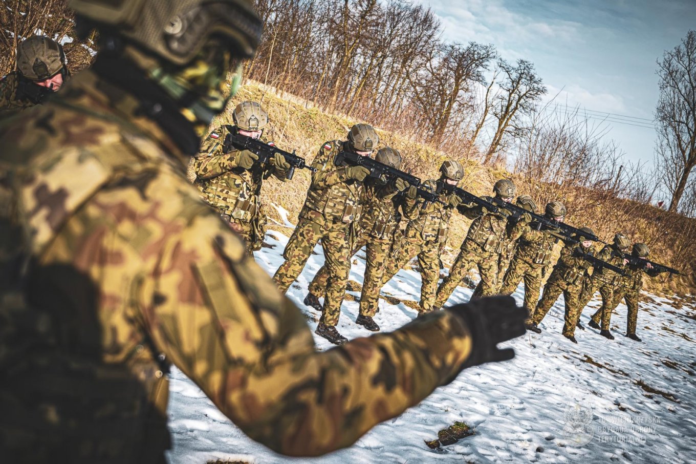 територіальна оборона польща