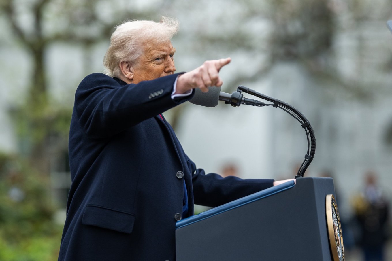 Дональд Трамп