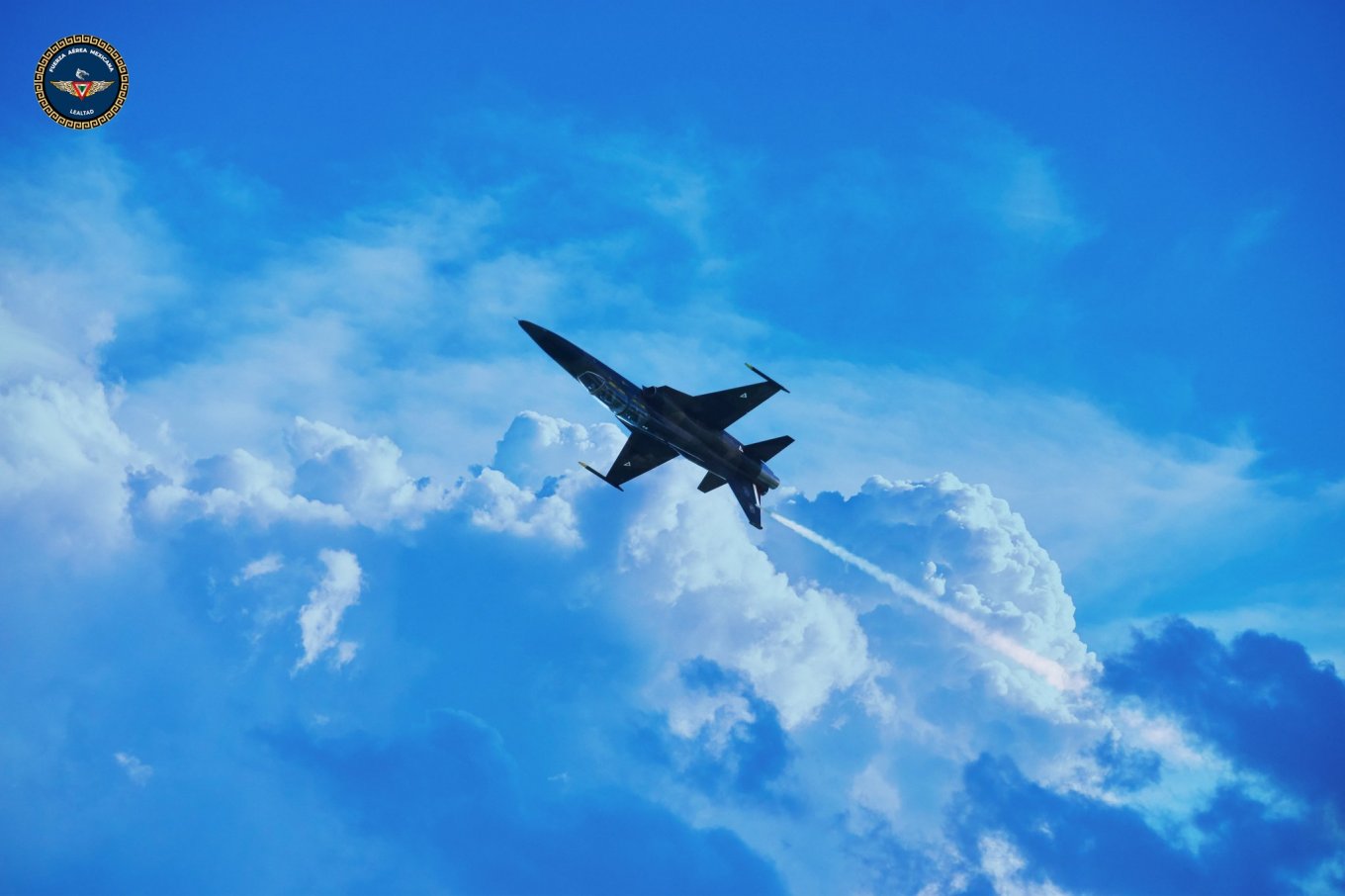 F-5 ПС Мексики