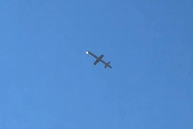 Герань-5