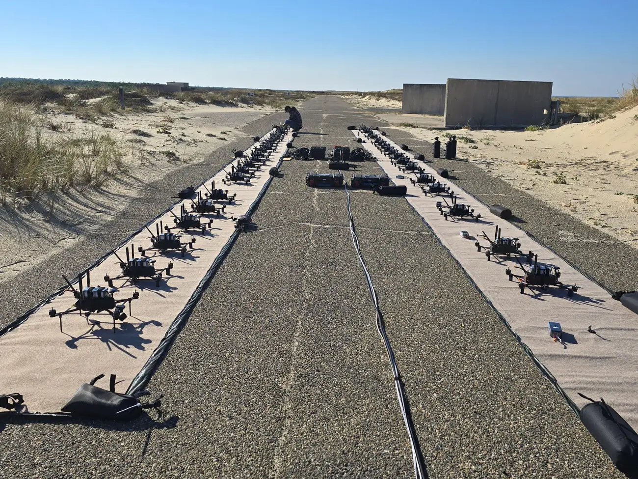 Система DWS-1 складається з 200 зенітних FPV-дронів