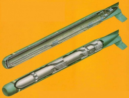 Зображення ракети Harpoon у спеціальному контейнері