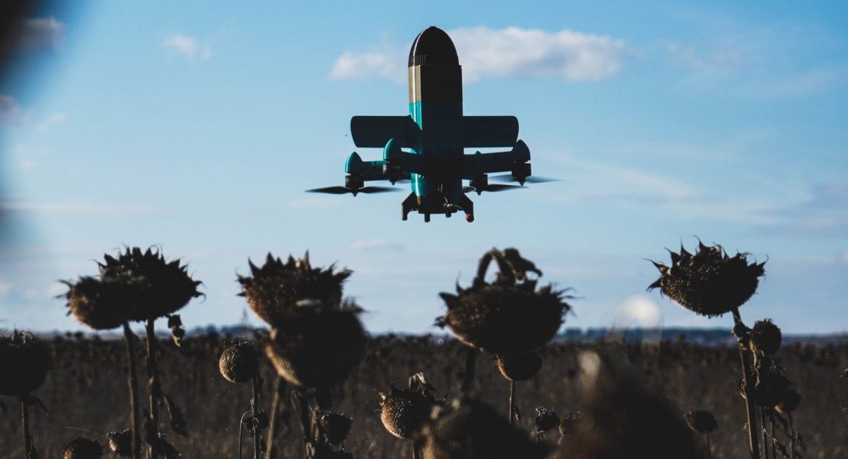 Sting Дикі Шершні