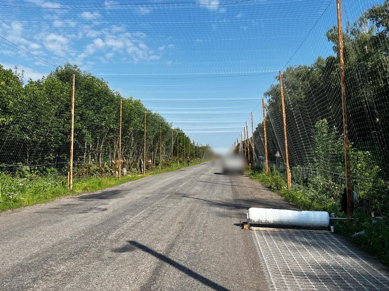 Ілюстративне фото сіткового тунелю. Фото - Генеральний штаб ЗСУ