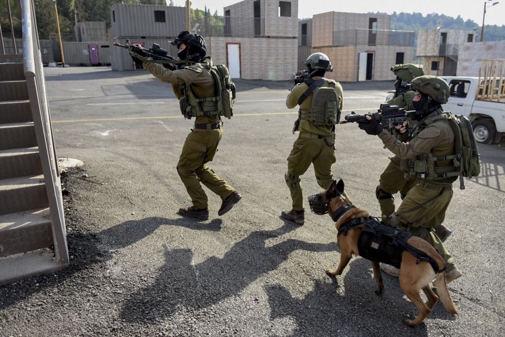 Сили спеціальних операцій, ССО Ізраїля, Defense Express