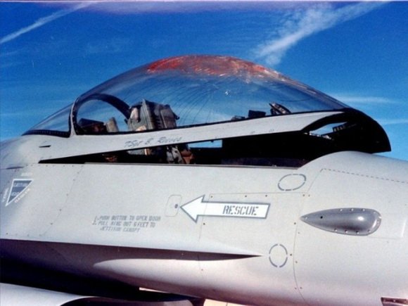 Зіткнення F-16 з птахами