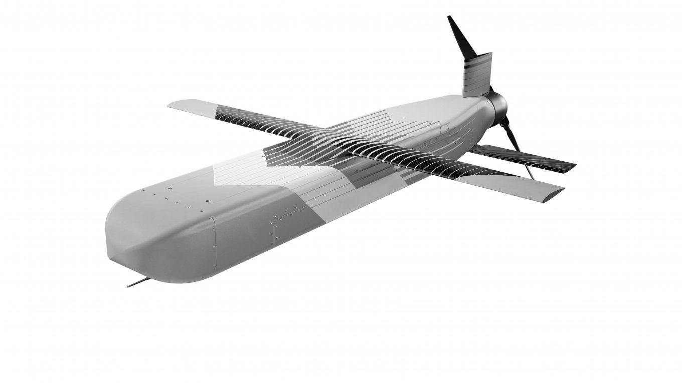 Hornet B2