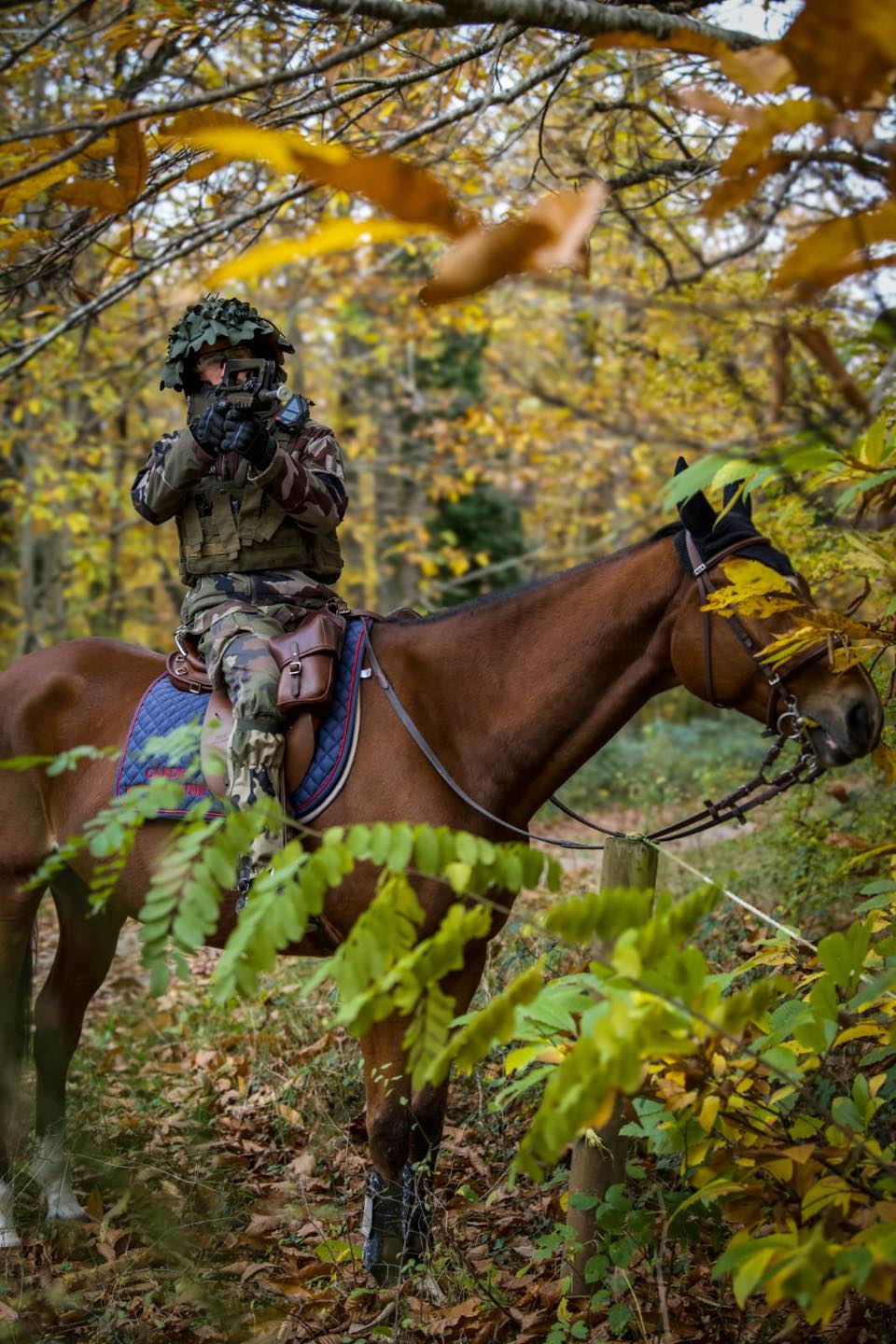 франція кавалерійський полк