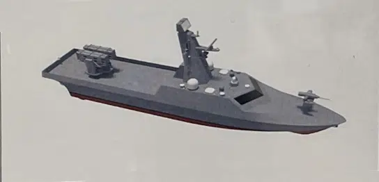 Combat USV