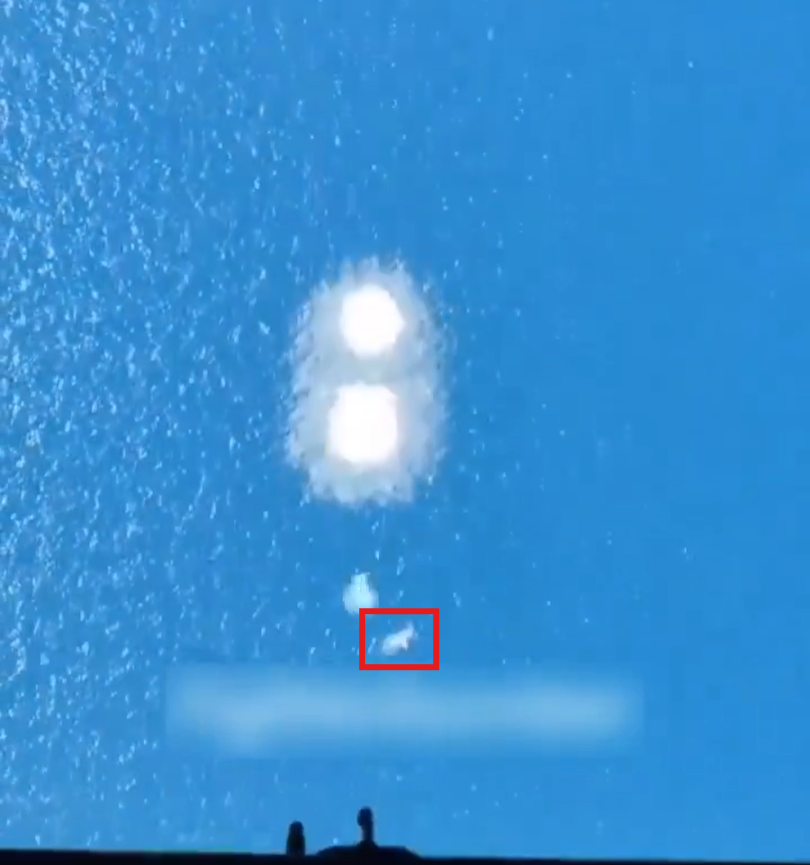 Кадр з відео, червоним виділено ймовірну ціль