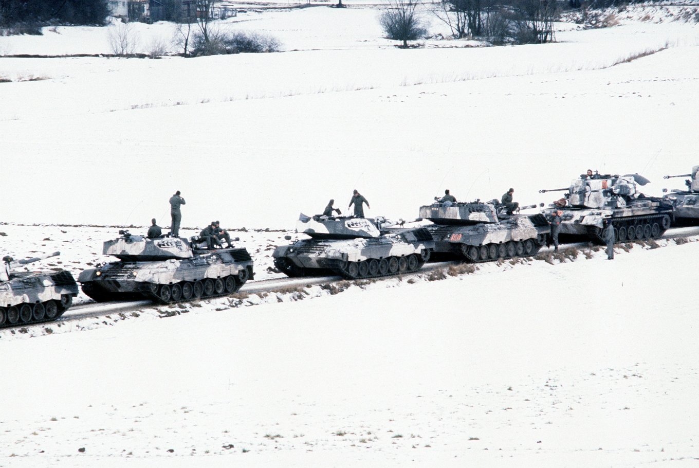 Leoprad 1 Gepard