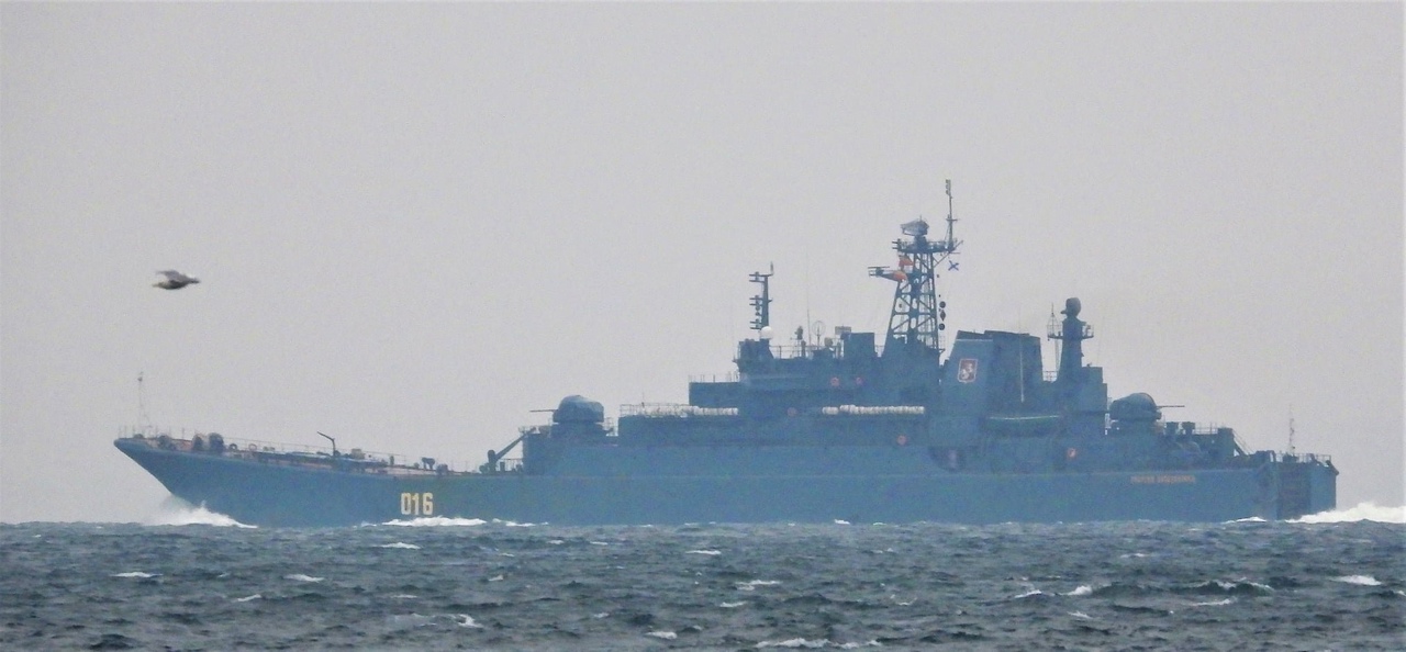 سفينة الإنزال الكبيرة & quot؛ Peter Morgunov & quot؛  من الأسطول الشمالي للاتحاد الروسي يذهب في مياه البحر الأبيض المتوسط مع & quot؛ ازدحام & quot؛ واضح ، فبراير 2022 ، صورة من مصادر مفتوحة