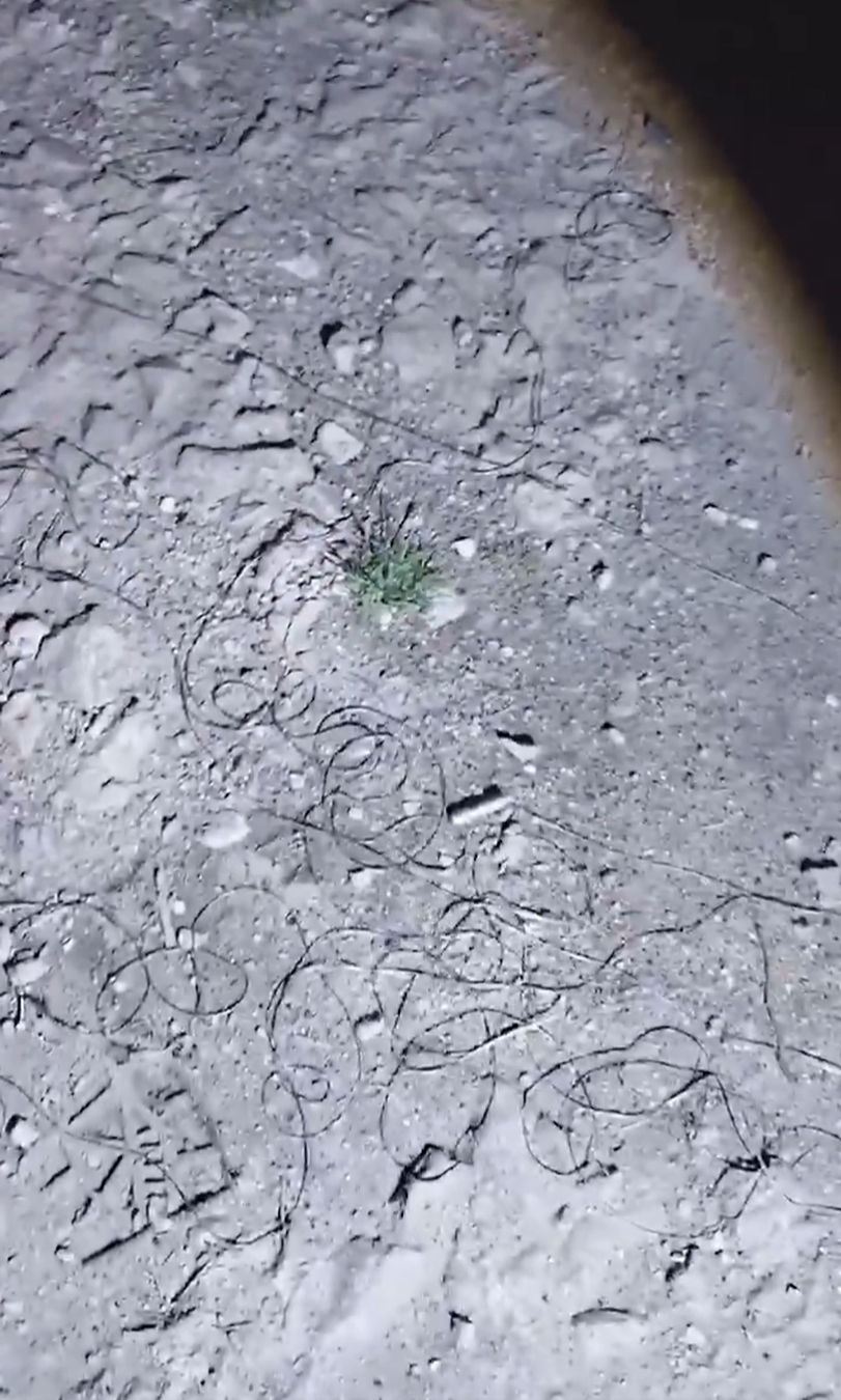 Ймовірно розкидані графітові стрічки після застосування українських дронів