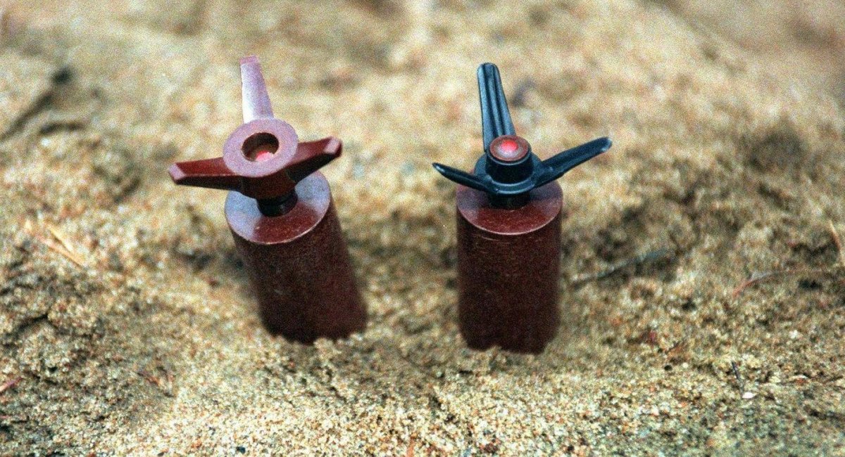 Sakaramiina SM 65-98