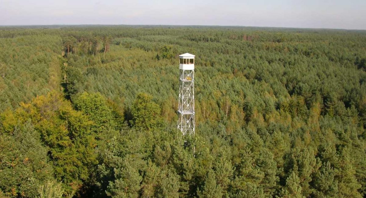 Пожежна вежа у Польщі (фото: Lasy Państwowe)
