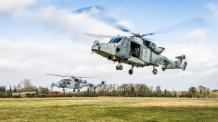 ​Британці хочуть позбутися вертольотів Wildcat AH1 - "найстаршому" всього 14 років і невідомо, куди їх "приткнуть"