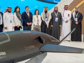 У Іспанії зробили вітчизняний стелс-дрон, який схожий на 