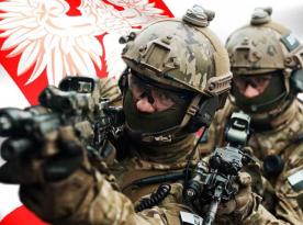 Як сухопутні війська Польщі готуються до відбиття агресії збройних сил росії  Частина 1