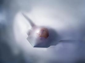 Якщо F-47 не повторить долю F-22 із забороною експорта, то якого покупця вже могли втратити США