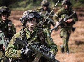 Швеція все ще на шляху до НАТО: Угорщина нарешті ратифікувала заявку, але ще може тиснути на гальма