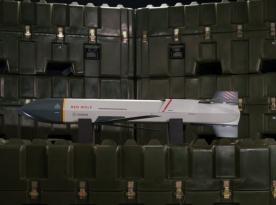 Американські морпіхи обрали крилату ракету Red Wolf, що несе лише до 10 кг вибухівки, але на 370 км