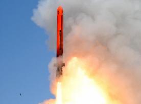 Виявляється єдиний у Європі аналог 