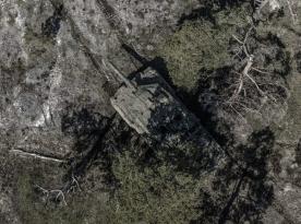 Нідерланди у досить таємничій угоді купили захист для своїх бронемашин Fennek та САУ PzH 2000