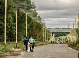 Чи справді рашисти знайшли ефективний спосіб боротьби з сітковими тунелями завдяки 