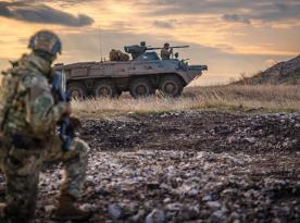 Що там з кількістю та складом збройних сил Угорщини, яким Орбан наказав захистити енергооб'єкти країни від України