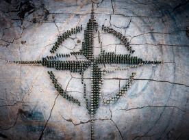 Як Іспанія та Італія 