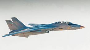 Наскільки важливим для Ірану були знищені на землі F-14 Tomcat, та що з їхніми МиГ-29