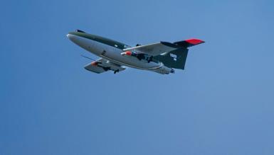 Airbus знадобився лише рік від концепту, дешевий дрон-винищувач Bird of Prey з мікро-ракетами Frankenburg