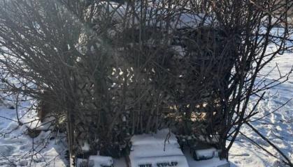 НРК-"кущ", і це може бути ефективно - як рашисти захищають свій "Курьер" від FPV-дронів