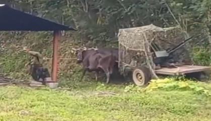 У випадку вторгнення США кубинці будуть збивати літаки на волах з кулеметами, або наскільки там все погано з ППО та авіацією