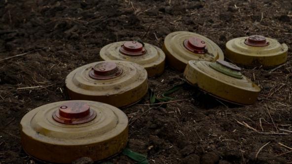 800 млн євро на все: Литва хоче купити протитанкові міни у вітчизняних виробників, але польські виглядають "смачніше"