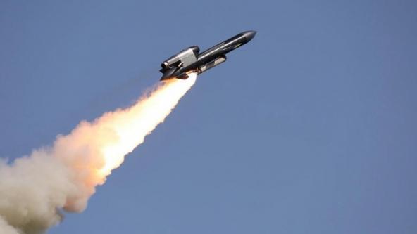 Які важливі деталі у новому відео пуску FP-5 "Фламінго", який має дещо спільне з "Павутиною" 