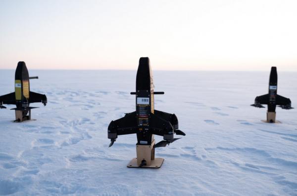 Які ще українські зенітні дрони, у тому числі протишахедні, вироблятимуть спільно з Німеччиною